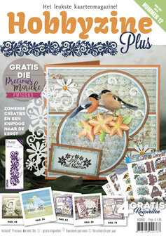 Hobbyzine Plus 12 met gratis goody