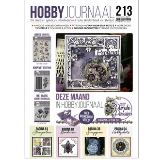 HJ213 Hobbyjournaal 213