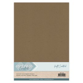 GKK-A445 Kraft Cardstock  A4 220 grs 10 vel