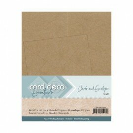 A6 Cards and Envelopes 20PK Kraft