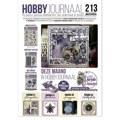 HJ213 Hobbyjournaal 213