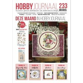 HJ233 Hobbyjournaal 233